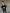 Gewebte Herrenweste mit Reißverschluss für stilvolle Looks – David