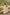 Maxi Sommerkleid Elegant Neckholder Twist Look – Liora