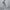 Trendige Damenjacke mit Puffärmeln – Livia