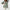 Damen Bluse Bunt Leicht Frühling Sommer Look – Ayelina