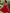 Korsett Kleid Romantisch Rot Blau Elegant – Amira