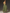 Plissee Maxikleid Corsage Look Elegant – Camille