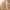 Damen-Lederjacke mit zeitlosem Stil – Vanessa