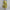 Boho Maxikleid mit Blumenmuster aus Baumwolle – Kerstin
