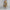 Boho Maxikleid mit Blumenmuster aus Baumwolle – Kerstin