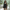 Schwarzes Chiffon Minikleid mit Drapierung – Alenya
