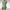 Elegantes Damenkleid für Büro und Events – Luisa
