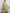 Sommerkleid Damen Elegant Locker Seidig Bequem – Alurea