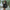 Schwarzes Chiffon Minikleid mit Drapierung – Alenya