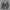 Herren Winterjacke Warm Robust Alltag Stil – Norvex