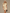 Blazer Skort Set City Look Elegant – Léa