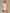 Blazer Skort Set City Look Elegant – Léa