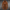Warme Damen Winterjacke im Trench-Stil – Norava