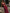 Boho Co-Ord Set mit Rüschen und Cut-Out – Yara