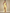 Satin Maxikleid One Shoulder Elegant – Amira