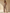 Schulterfreier Jumpsuit Elegant Modern Look – Alina