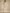 Pailletten Maxikleid Elegant Rückenfrei Glamour – Amira