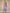 Blumenkleid One Shoulder Fließender Schnitt – Emilia