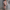 Einfarbiges Freizeitkleid für warme Tage – Lina