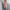 Buntes Boho Kleid mit Taillenraffung – Melina