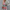 Buntes Boho Kleid mit Taillenraffung – Melina