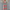 Buntes Boho Kleid mit Taillenraffung – Melina