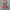 Buntes Boho Kleid mit Taillenraffung – Melina