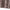 Vintage-Maxi-Rock mit elegantem Tigerdruck – Isabella