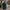 Strickpullover Damen bequem figurbetont elegant – Laurene