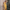 Midi Kleid Gelb Raffung Sommer Elegant – Sophie