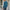 Herren Businesshemd Slim Fit Bügelfrei Baumwolle – Rendano
