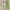 Vintage Damen Sommer Outfit mit Blumendruck, Hohe Taille – Sieglinde