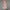 Elegantes Abendkleid mit offenem Rücken – Margot