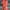 Sommerkleid Damen Leicht Elegant Knielang Alltag – Lomera