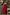 Elegantes Midikleid mit Korsett-Passform für jeden Anlass – Enrica