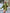 Damen-oversized Shirt mit lockerem Schnitt für Alltag – Mira