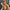 Kaschmir Schal Winter Warm & Weich mit Quasten – Lena