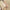 Damenbluse mit Nadelstreifen für elegante Looks – Clara