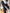 Schlaghose High Waist Schwarz Plus Size – Emilia