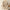 Boho Bluse Damen Bestickt Locker Elegant – Florencea