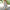 Handgefertigtes Baumwollkleid Damen Sommer bequem langlebig – Florina