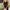 Elegantes Abendkleid mit figurbetonter Passform – Isabella