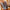 Winterhandschuhe aus Wildleder – Warm & Stylisch – Laura