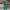 Eleganter Party-Jumpsuit mit offenen Ärmeln – Julia