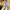 Damenbluse mit Nadelstreifen für elegante Looks – Clara