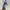 Elegantes Damenkleid mit Komfort Schnitt – Solviane