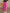 Damen Haremshose Baumwolle Sommer Bequem Retro – Livia