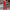 Eleganter Party-Jumpsuit mit offenen Ärmeln – Julia