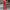 Eleganter Jumpsuit mit offenen Ärmeln für Damen – Clara