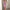 Elegantes Damenkleid – Zeitlos & Vielseitig – Sophia